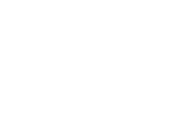 연결되지 못한 구조, 정보